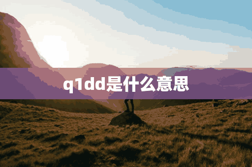 q1dd是什么意思